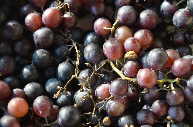 Kara üzüm çekirdeği faydaları nelerdir? Kara üzüm çekirdeği zayıflatır mı?