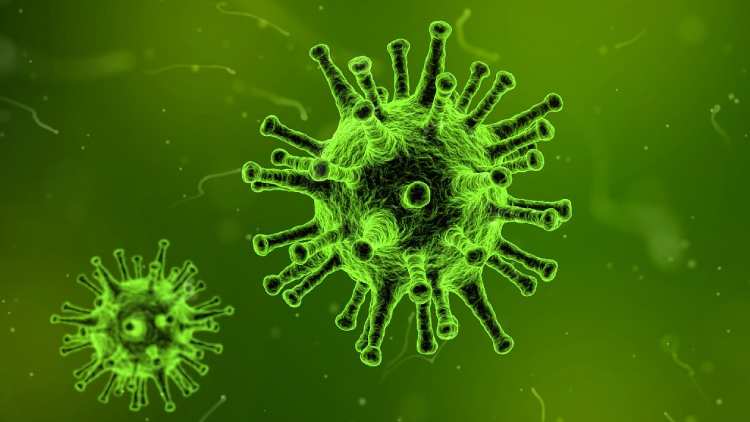 Virüs belirtileri nelerdir? Yeni tip koronavirüs COVID-19 ve HIV virüsü belirtileri nelerdir?